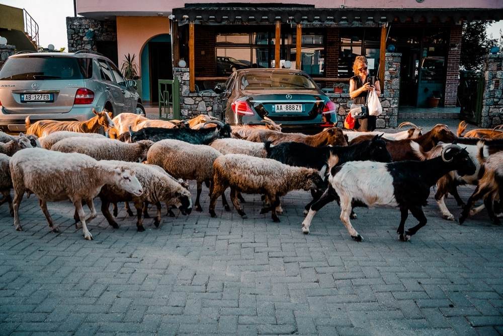 Wohnwagenabenteuer Albanien 25 Urlaubsfotos Dokumentarische Familienfotografie