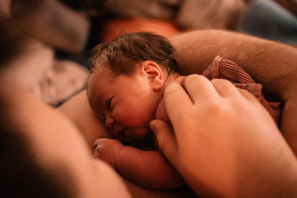 Geburtsfotos 4 Frisch Geborenes Baby Geburtsreportage am Bauch der Mutter